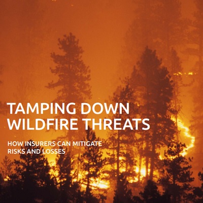 Tamping down wildfire threats